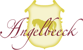 B&B Angelbeeck